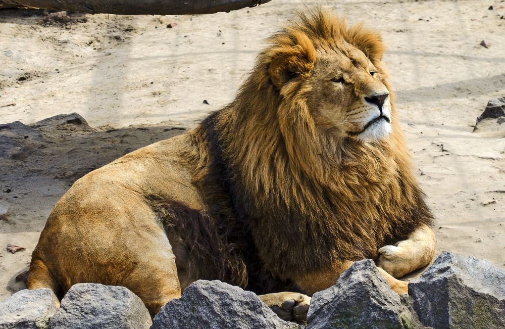 Photograph by Евгений Каримов