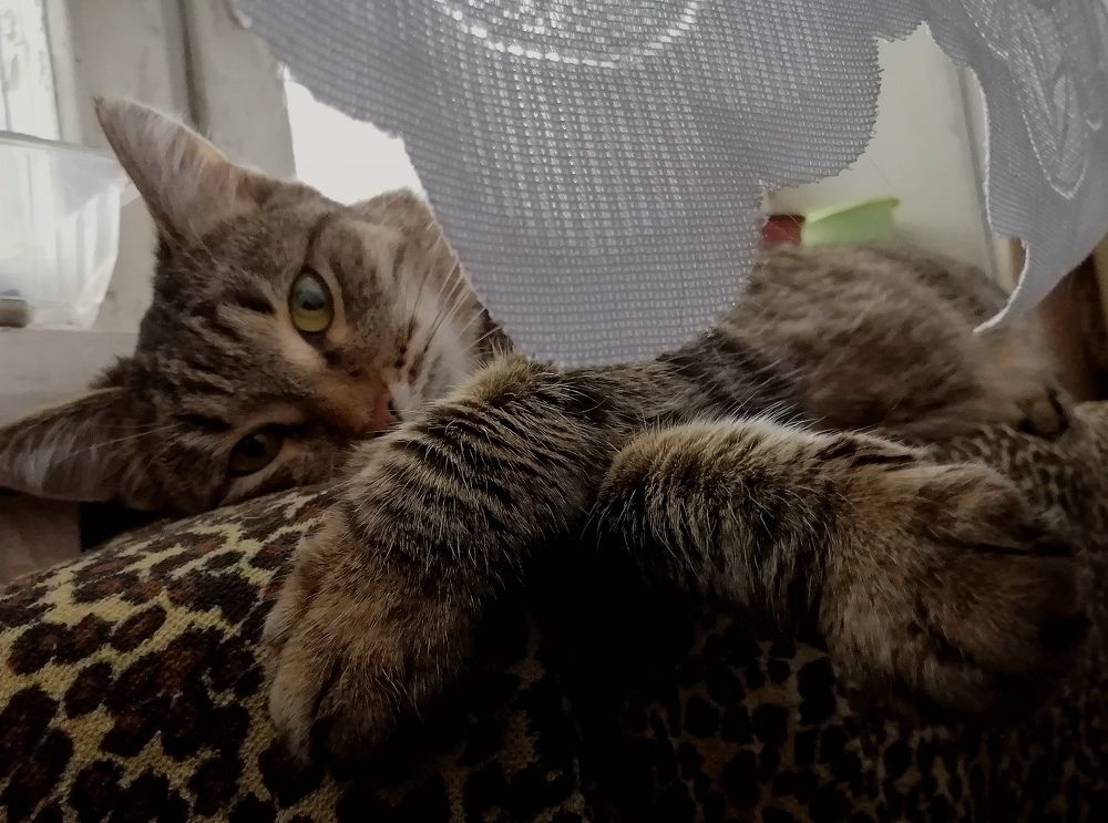 Что б ещё такого натворить?