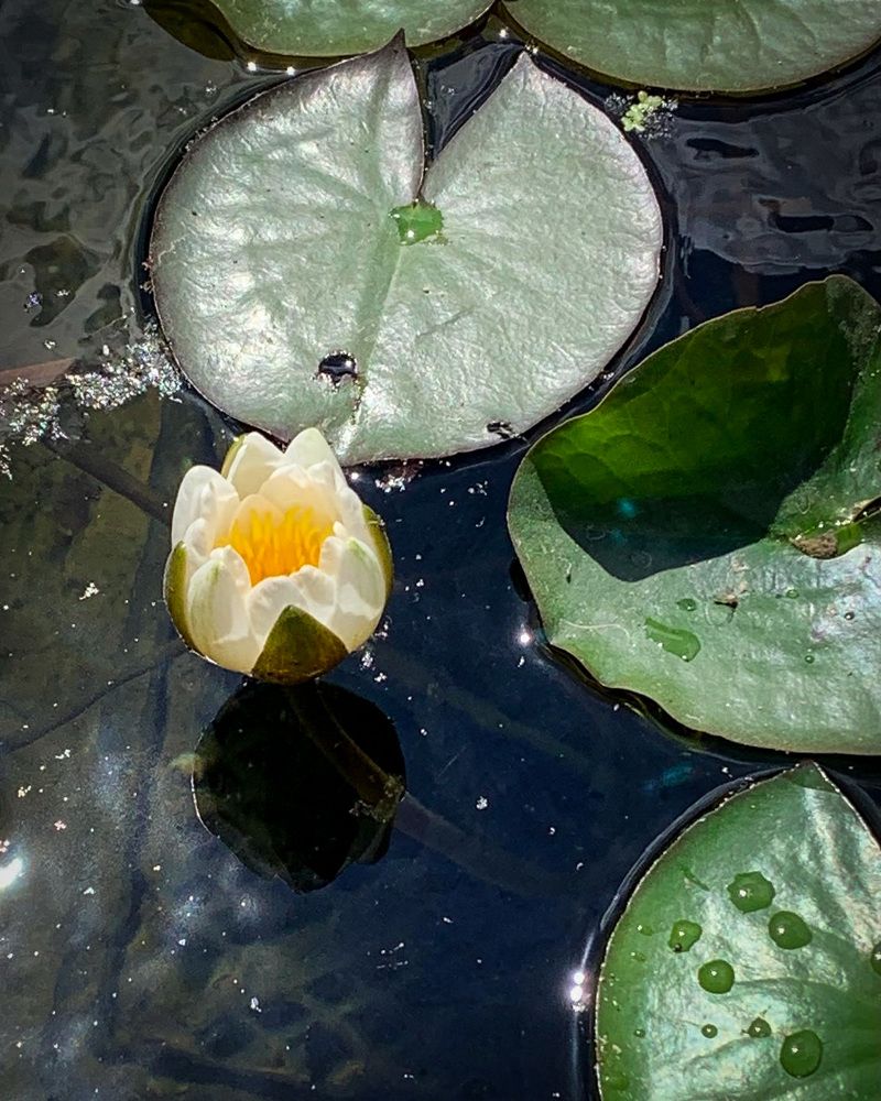 Photograph by Татьяна Колобаева