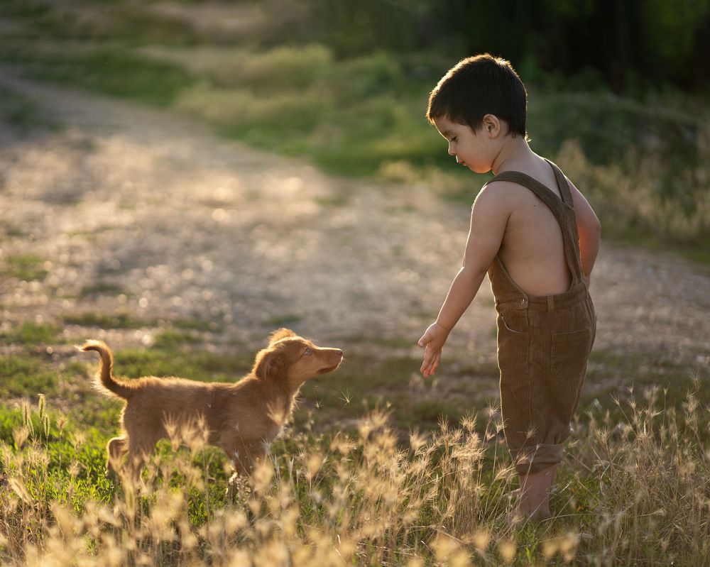 Photograph by Надежда Ермак