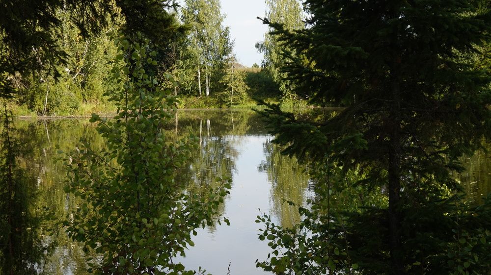 Photograph by Измаил Ефимов