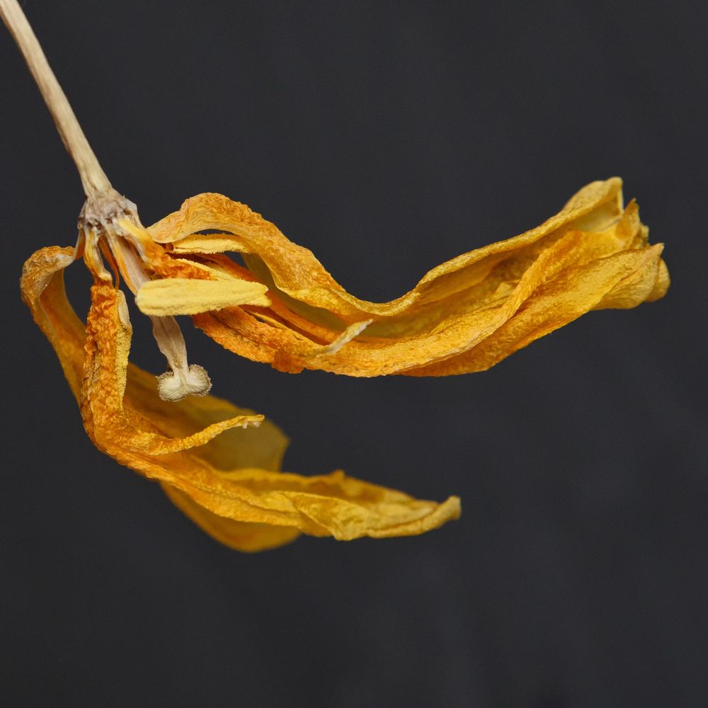 Photograph by Анна Артёменко