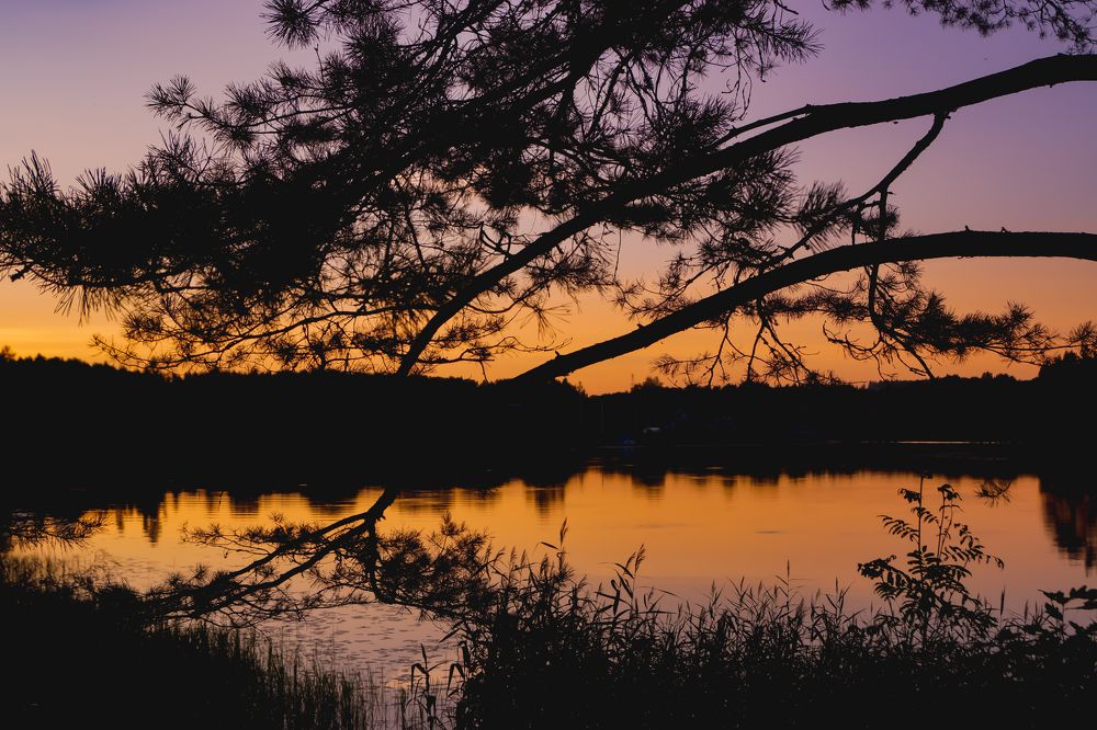 Photograph by Колоскова Мария