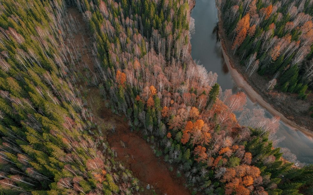 Photograph by Владислав Трушков
