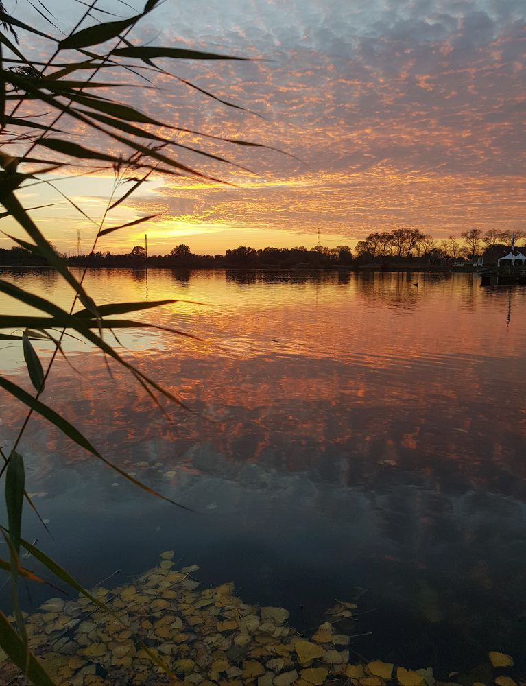 Photograph by Zulfiya Narimbaeva