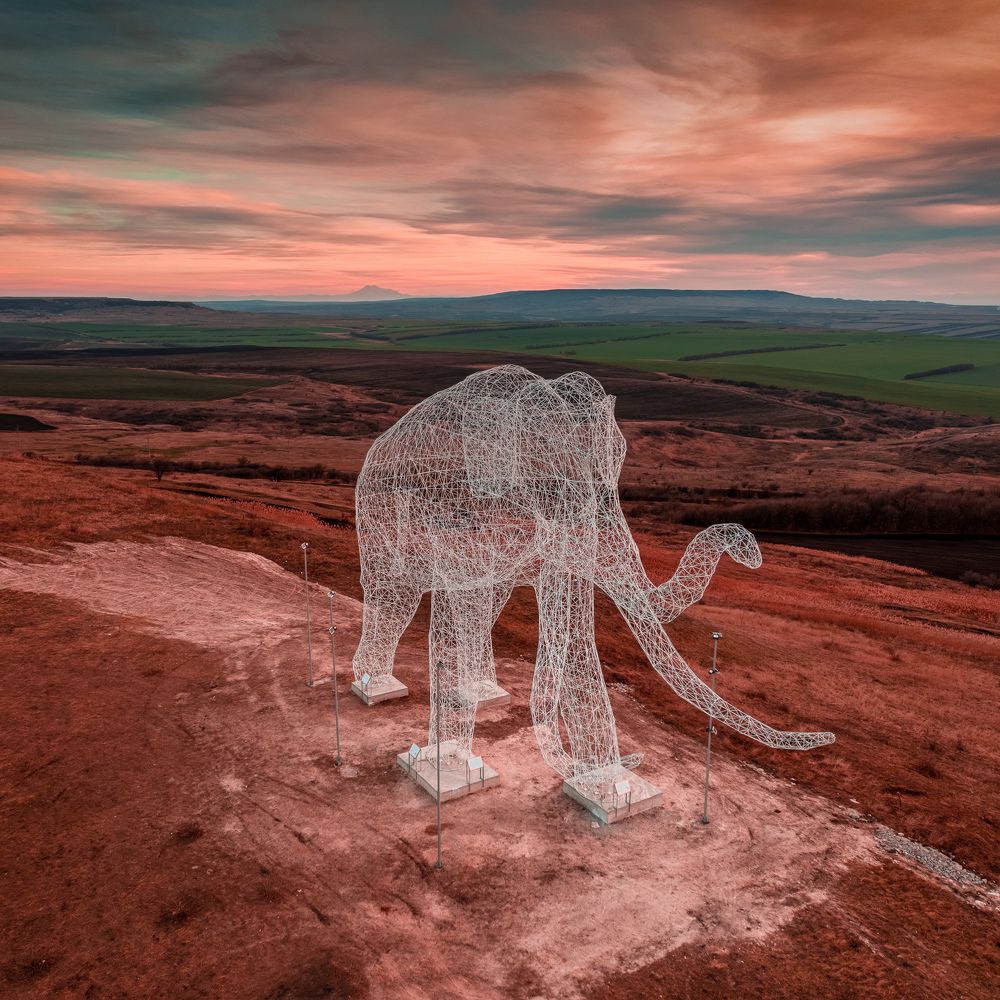 Photograph by Alexey Syukosev