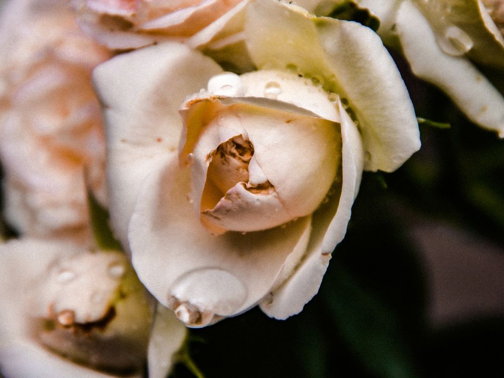 Photograph by Мария Матвеенко