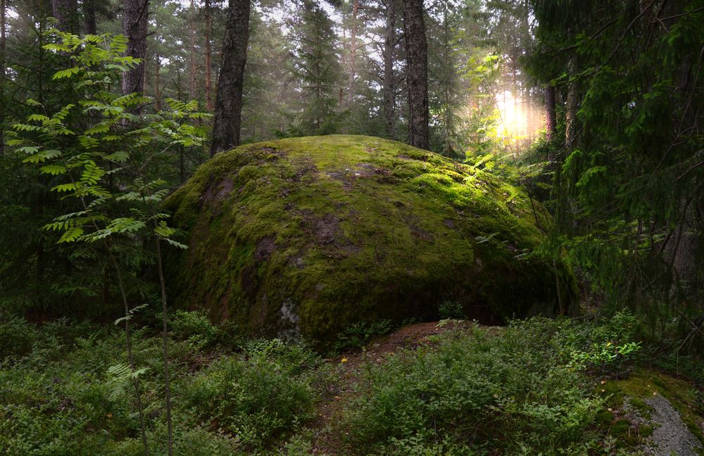 Photograph by Екатерина Казарцева