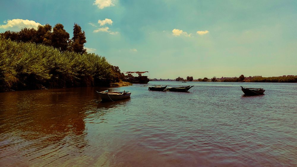 Photograph by Mena Mohamed