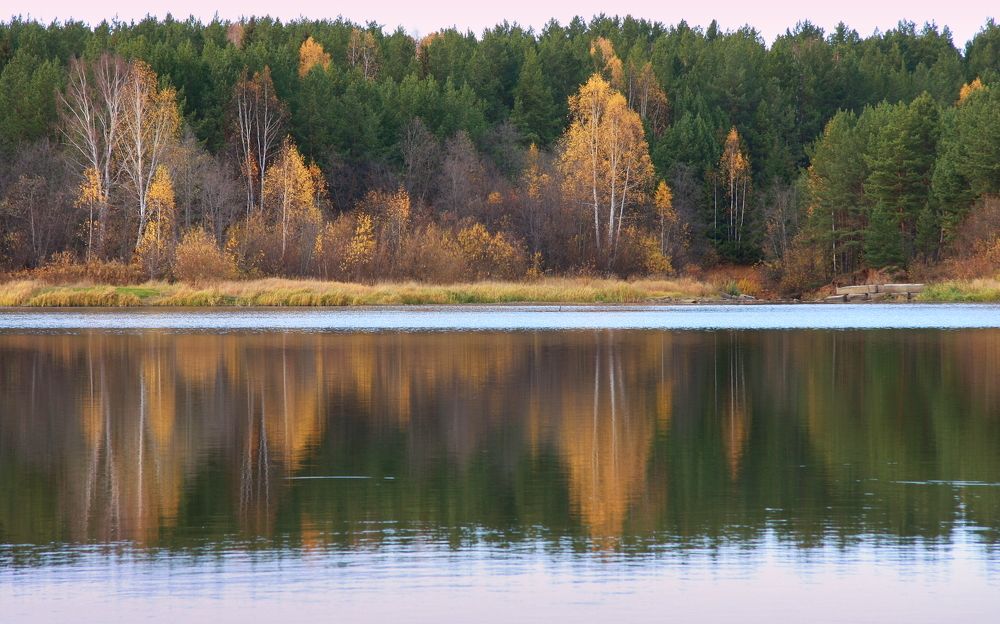 Фотография автора Nelya  Lysenko