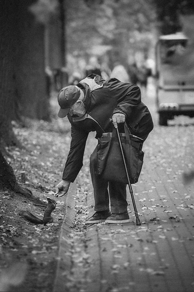 Фотография автора Денисов Алексей