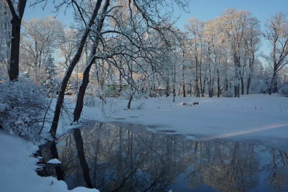 Photograph by Людмила Викулова