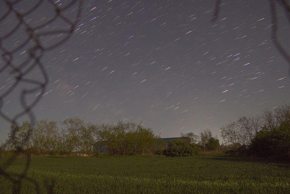 Photograph by Данил Моисеенко