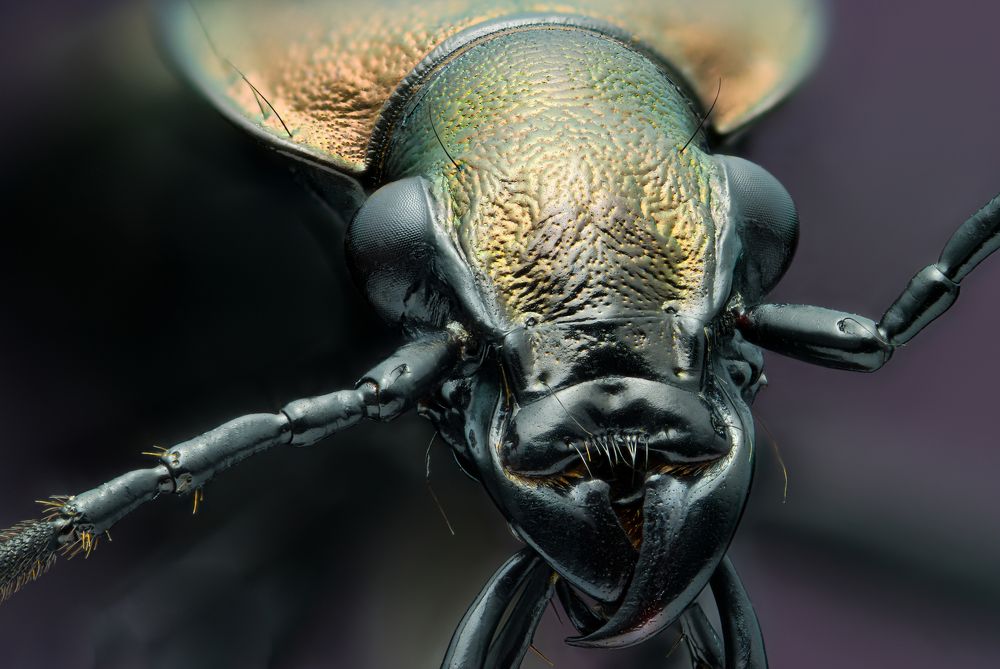 Photograph by Антон Сидоров