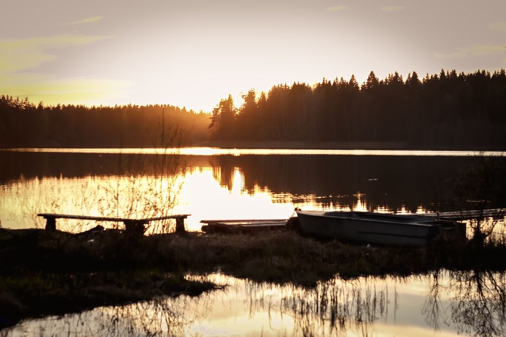 Photograph by Алёна Бабенко