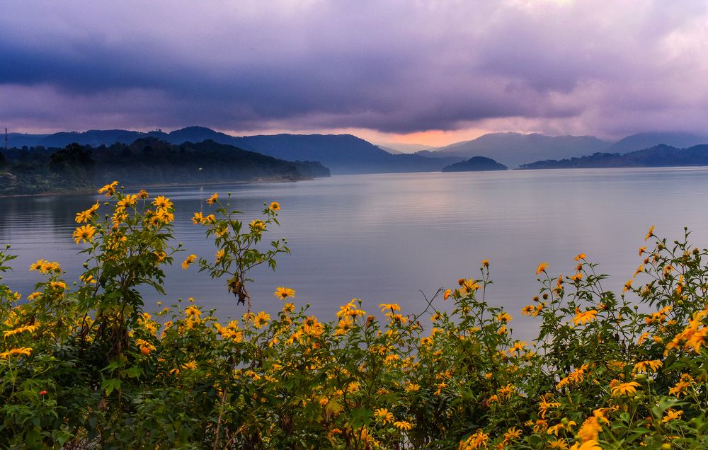 Photograph by Kamal Bhattacharjya