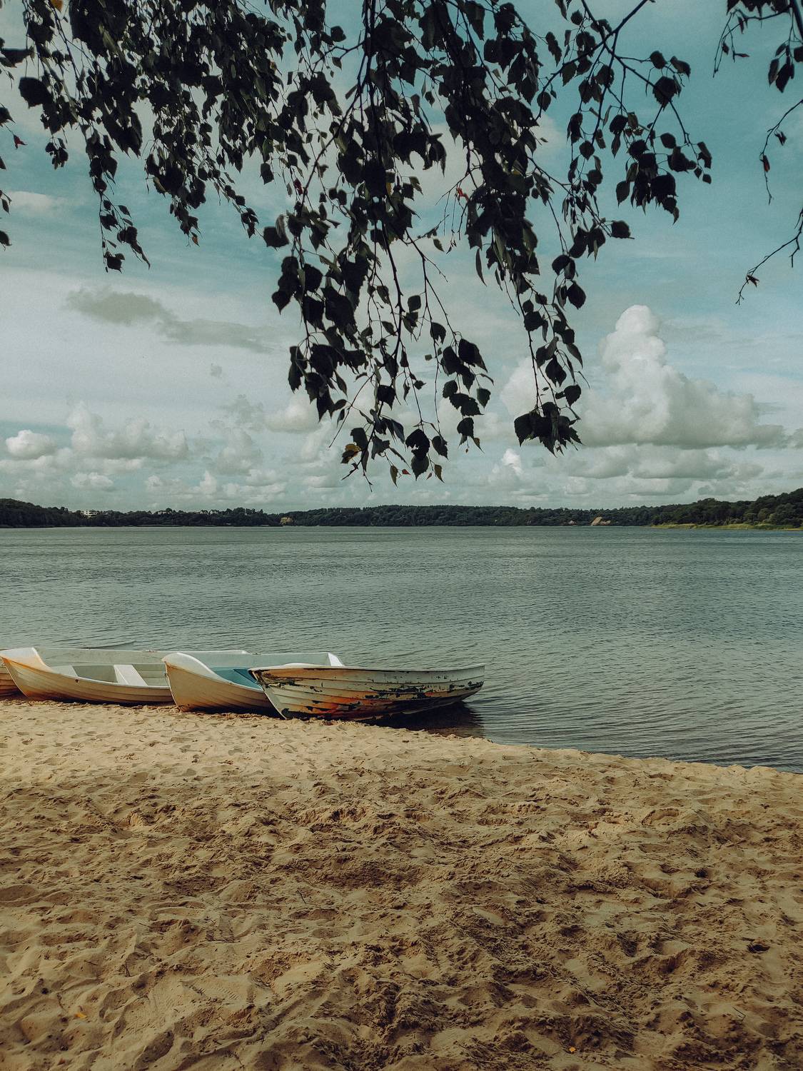 Photo #8403312