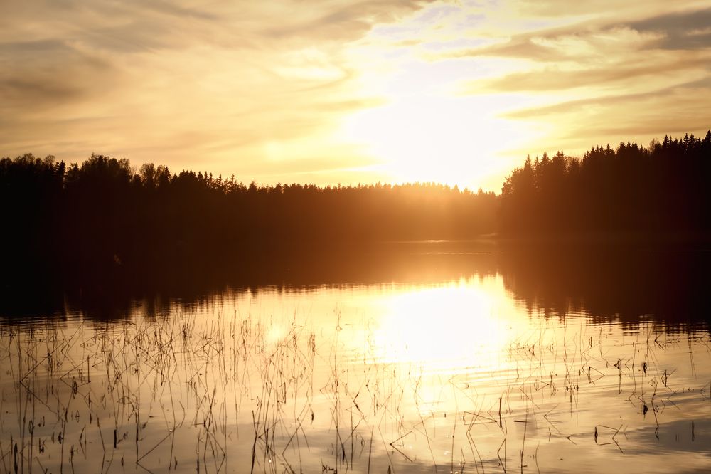 Photograph by Алёна Бабенко