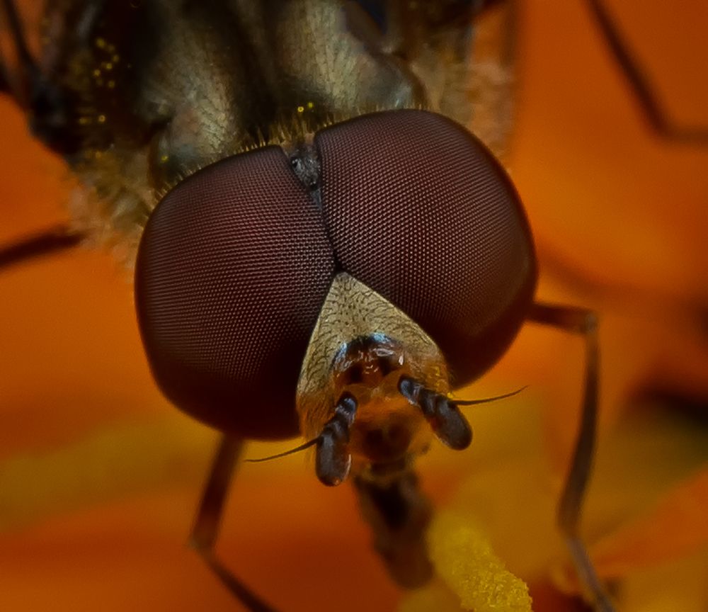 Photograph by Сергей Зелинский