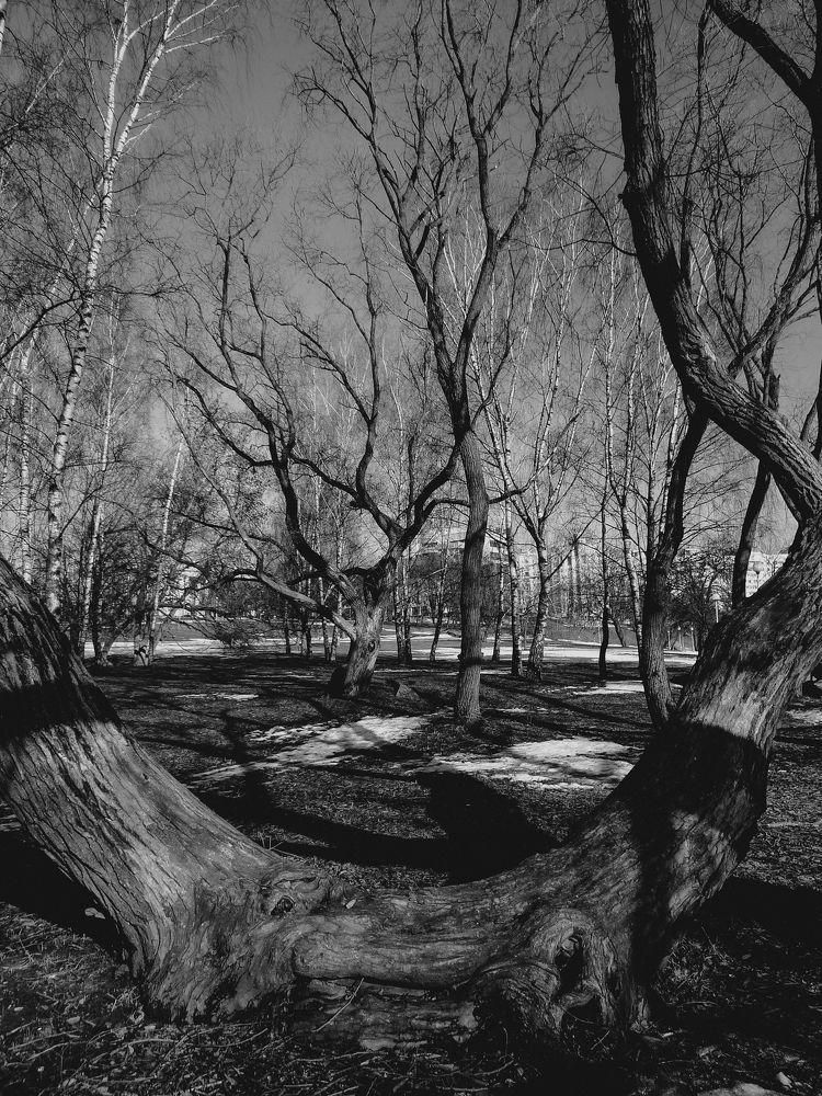 Photograph by Ольга Еженевская