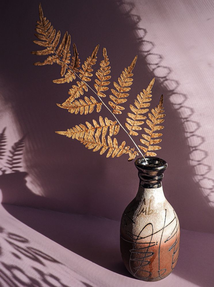 Photograph by Ольга Еженевская