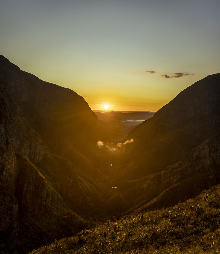 Photograph by FILLIPE schoenenkorb ribas