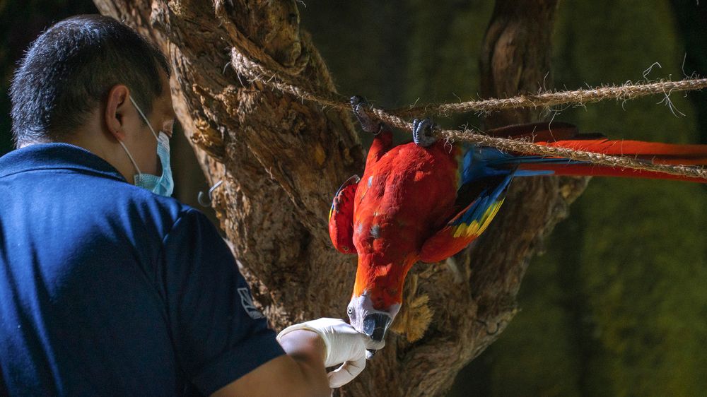 Photograph by Khazov Artem