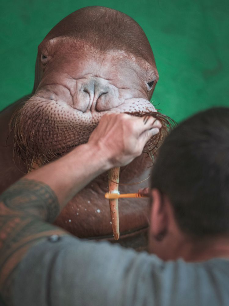 Photograph by Khazov Artem