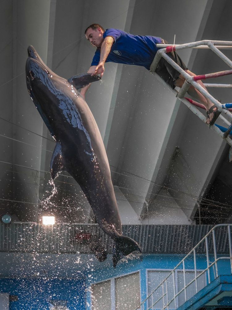 Photograph by Khazov Artem