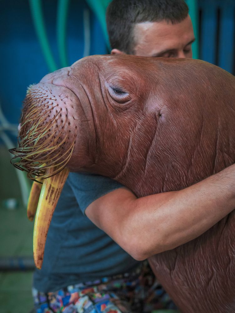 Photograph by Khazov Artem