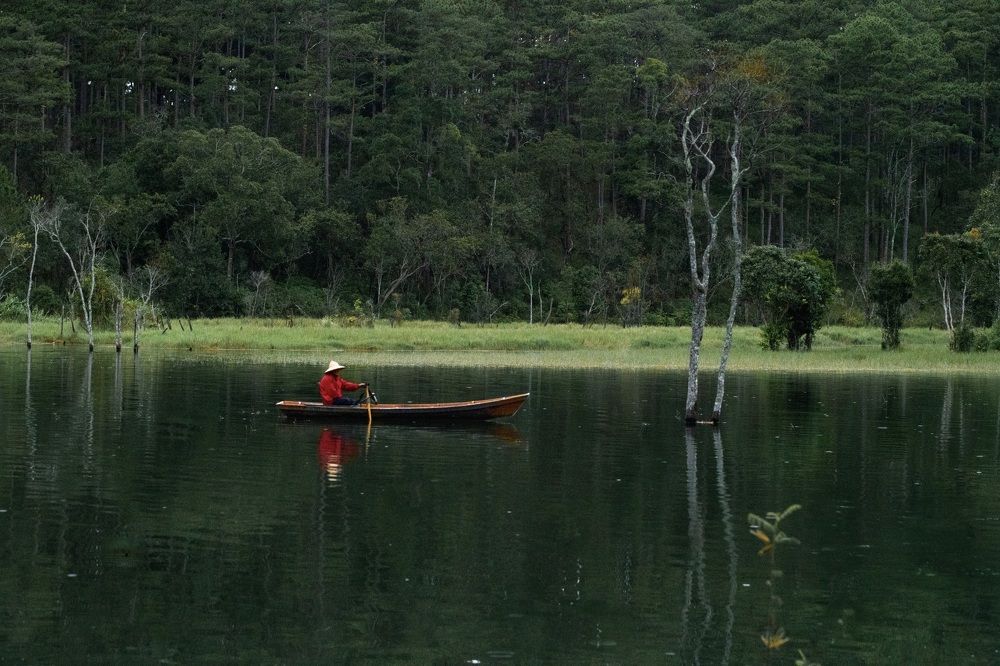 Фотография автора Thi Quynh Nga Pham