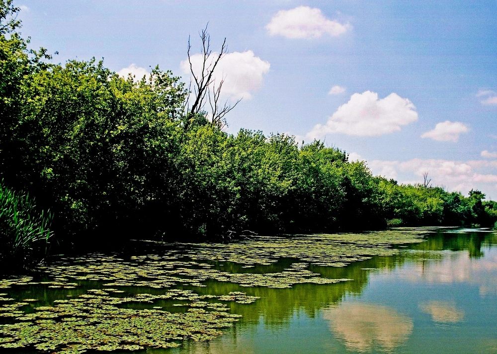 Фотография автора Stevo Dragić