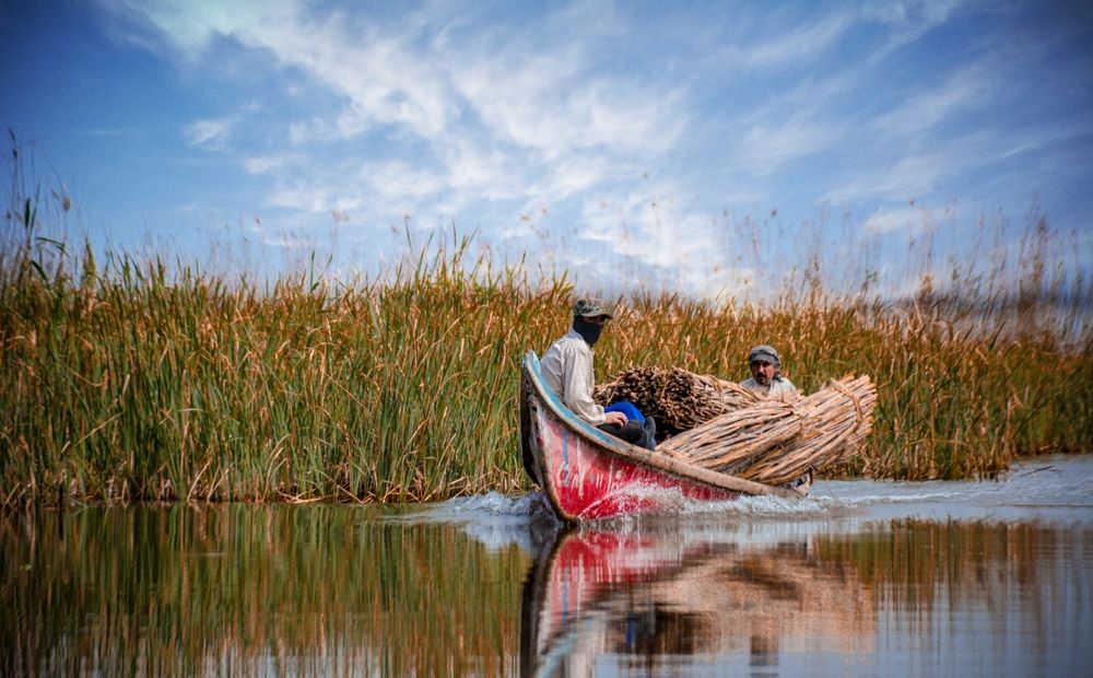 Photograph by Montadher AL-waeil