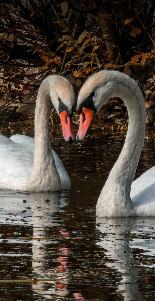 Фотография автора Michael Gault