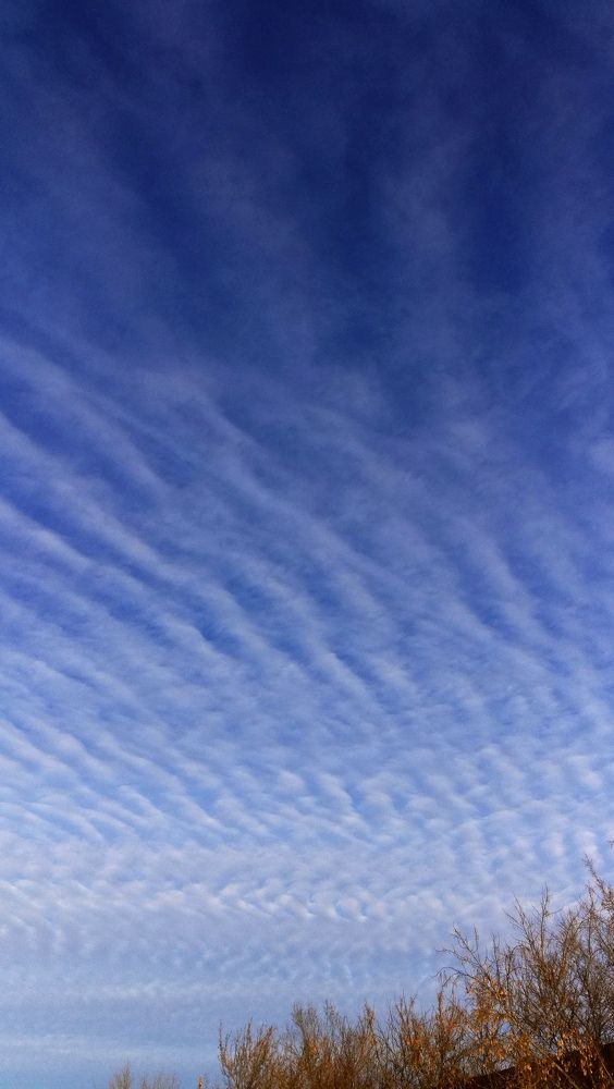 Photograph by Ирина Алпацкая