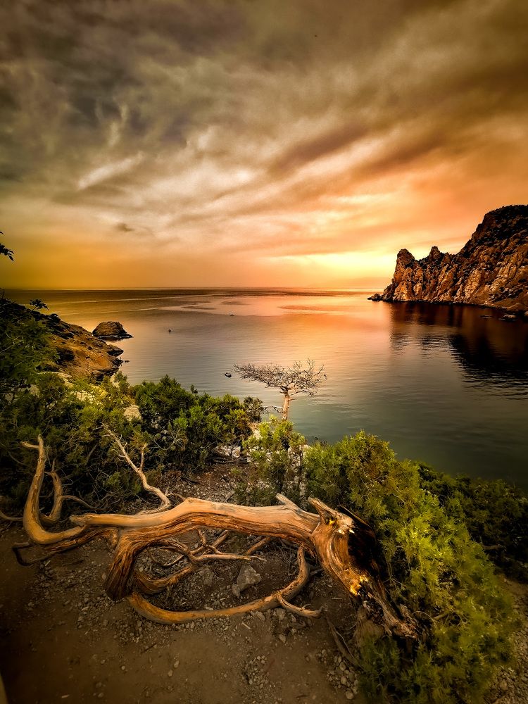 Волшебство цвета и форм