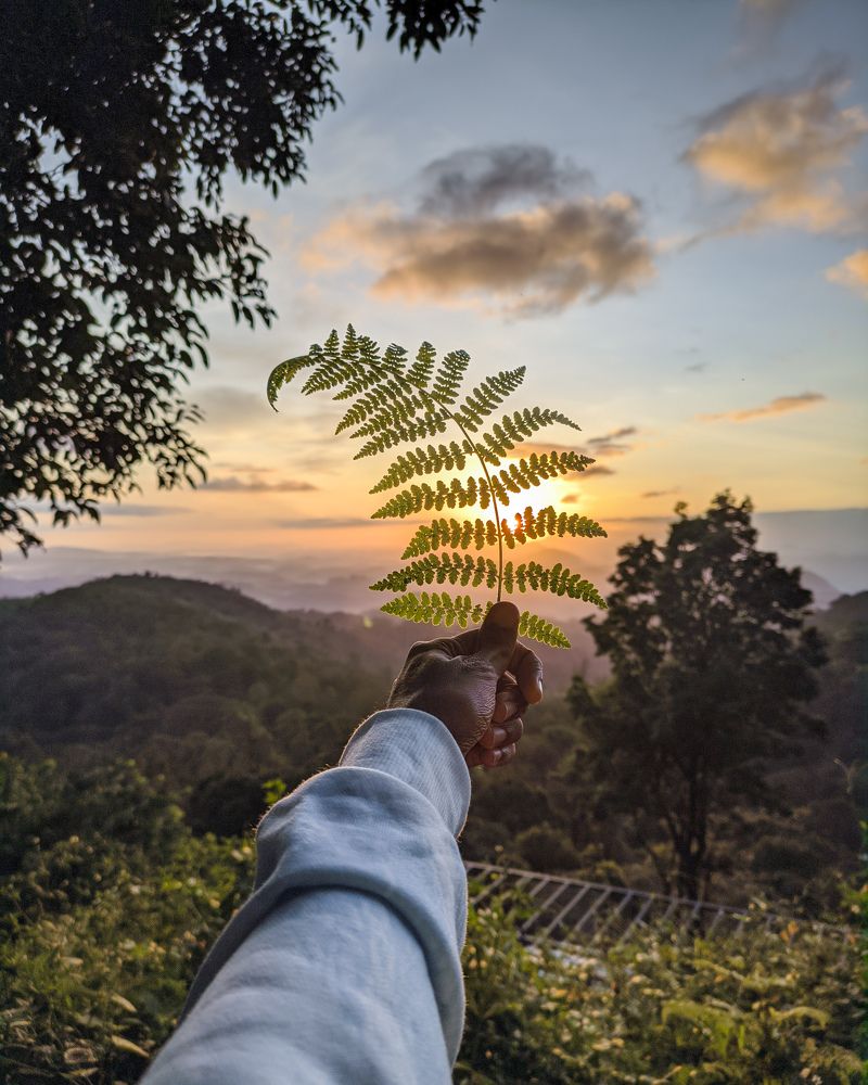 Photograph by VIJAYANAND M M