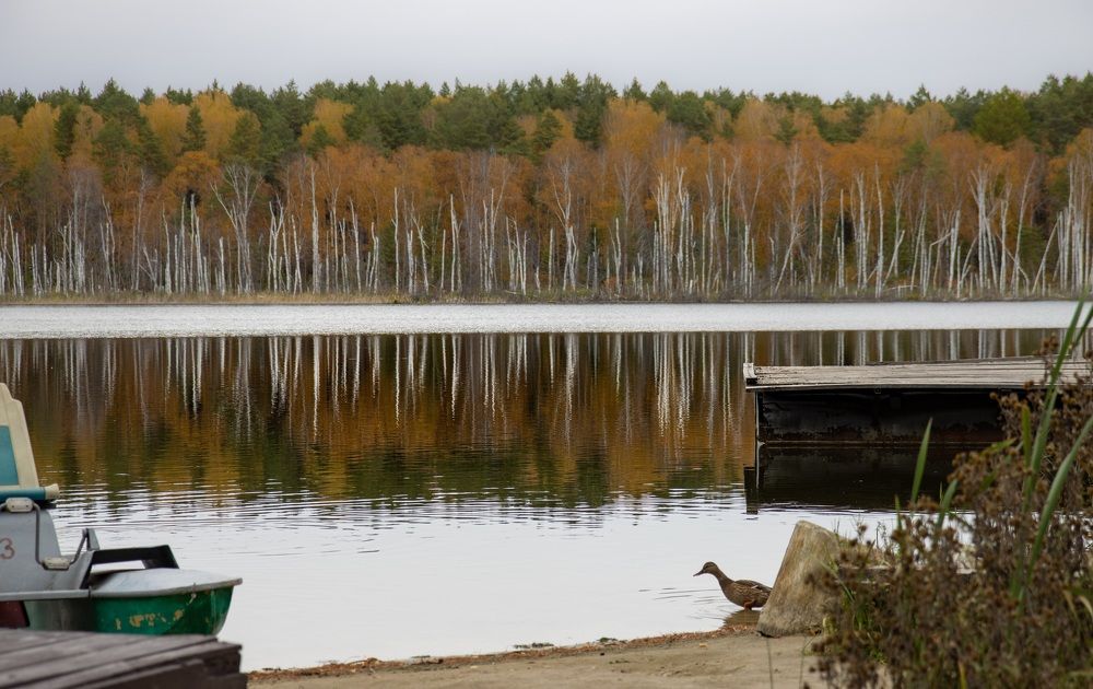 Photograph by Игорь Тюменцев