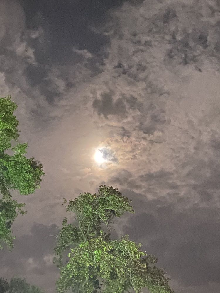 Photograph by Елена Мусина