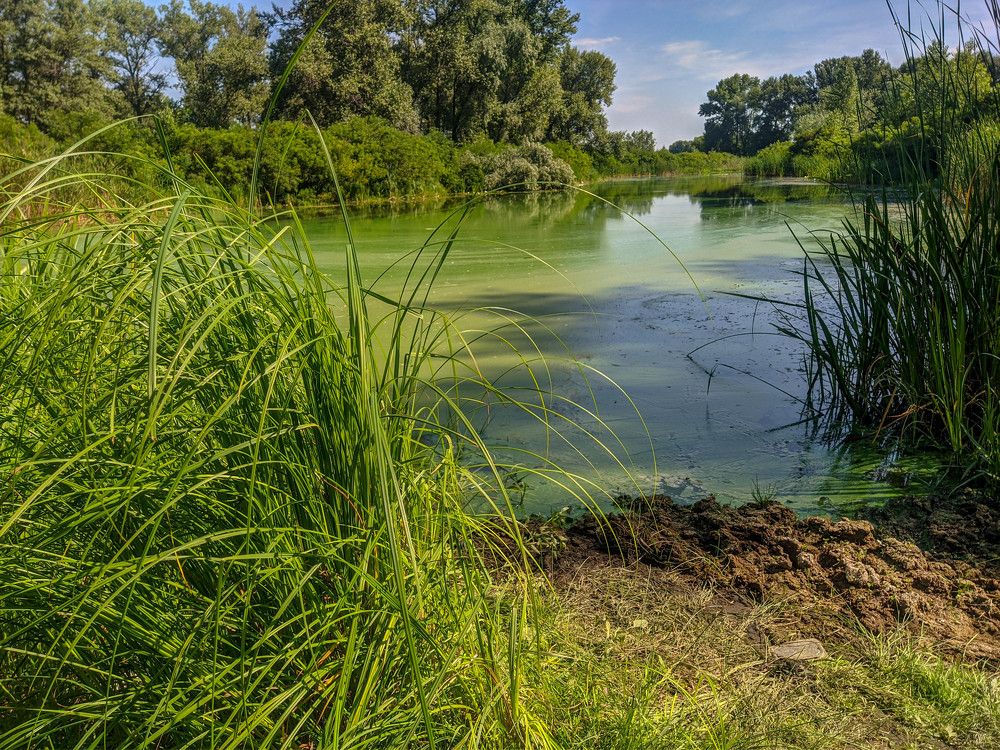 Photograph by Виталий Талисман