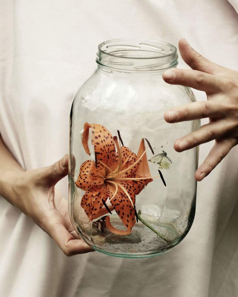 Photograph by Татьяна Кужлекова