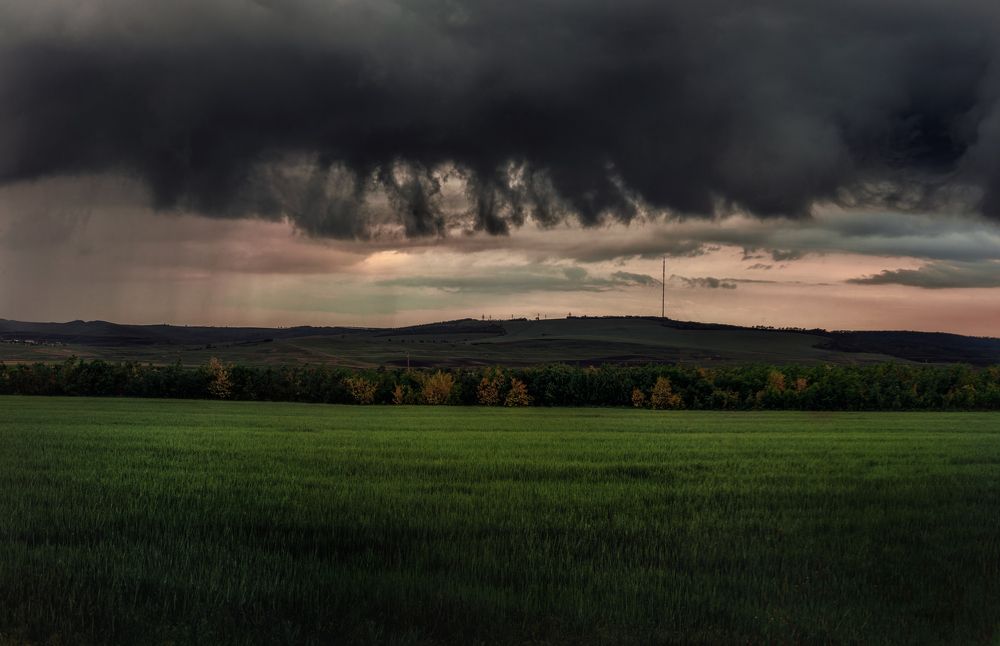 Фотография автора 