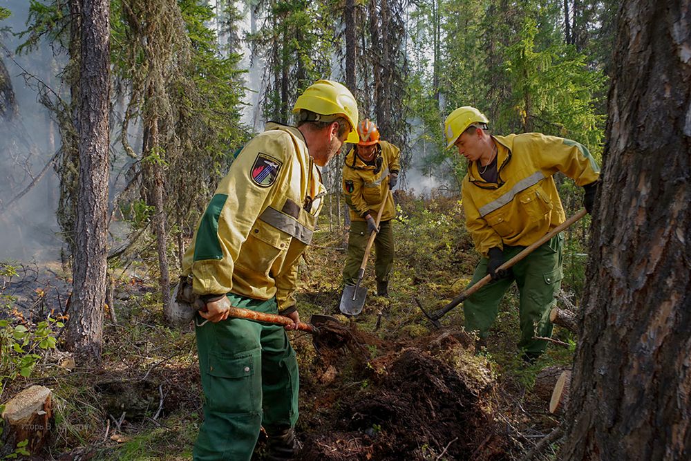 Photograph by Игорь Капустин
