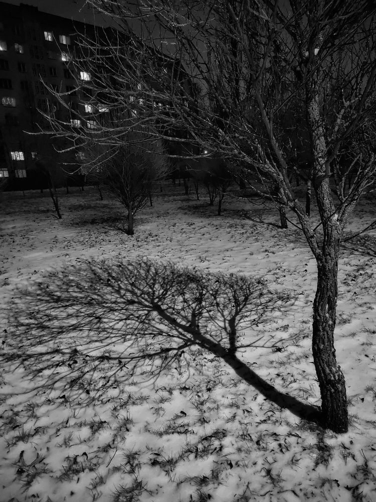 Photograph by Leanid Kulpo