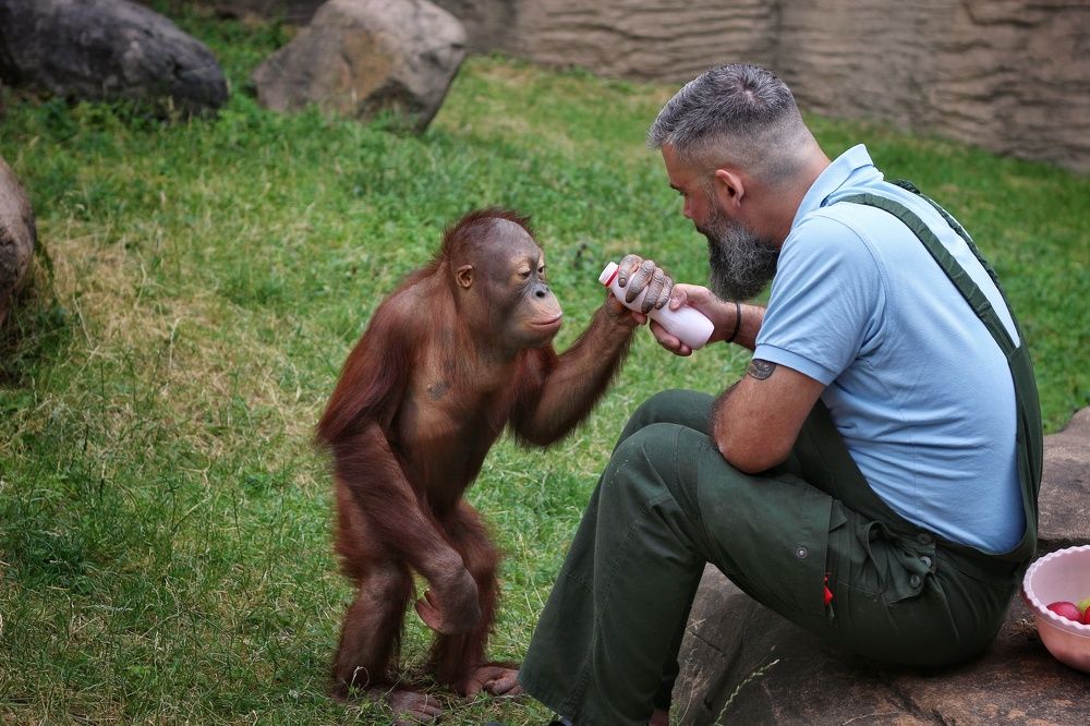 Фотография автора Елена Кириллова