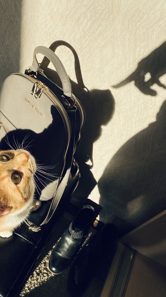 Photograph by Екатерина Балакина