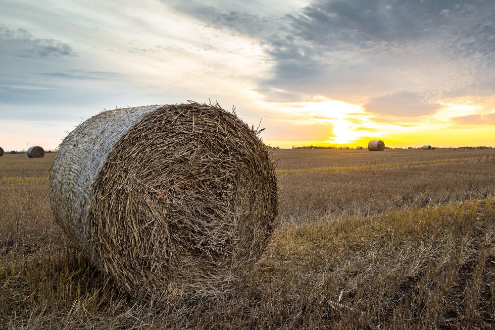 Photograph by Бугвин Алексей