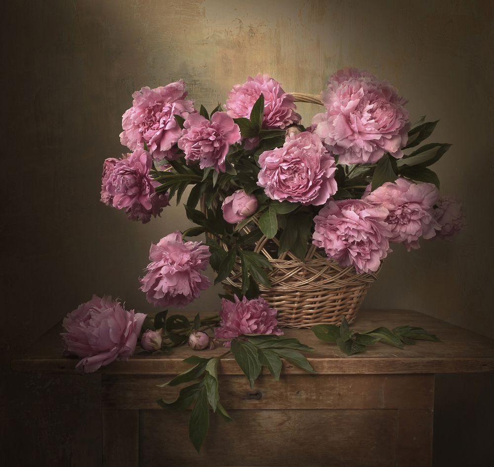 Photograph by Шипунова Ирина