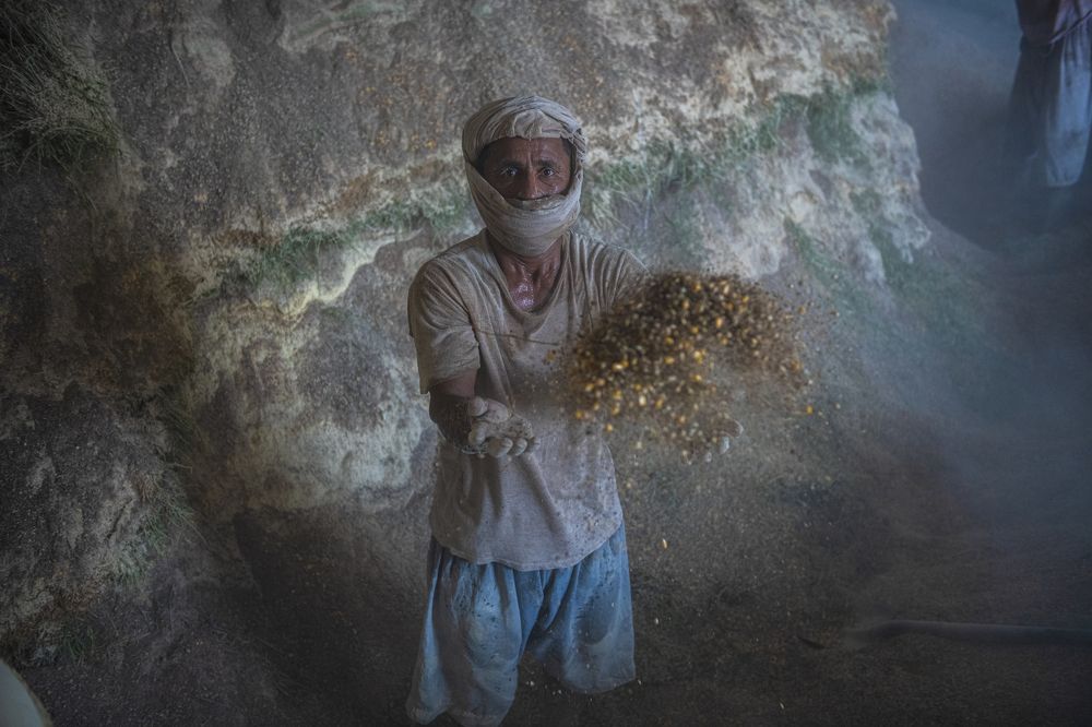 Фотография автора Zubair Irshad