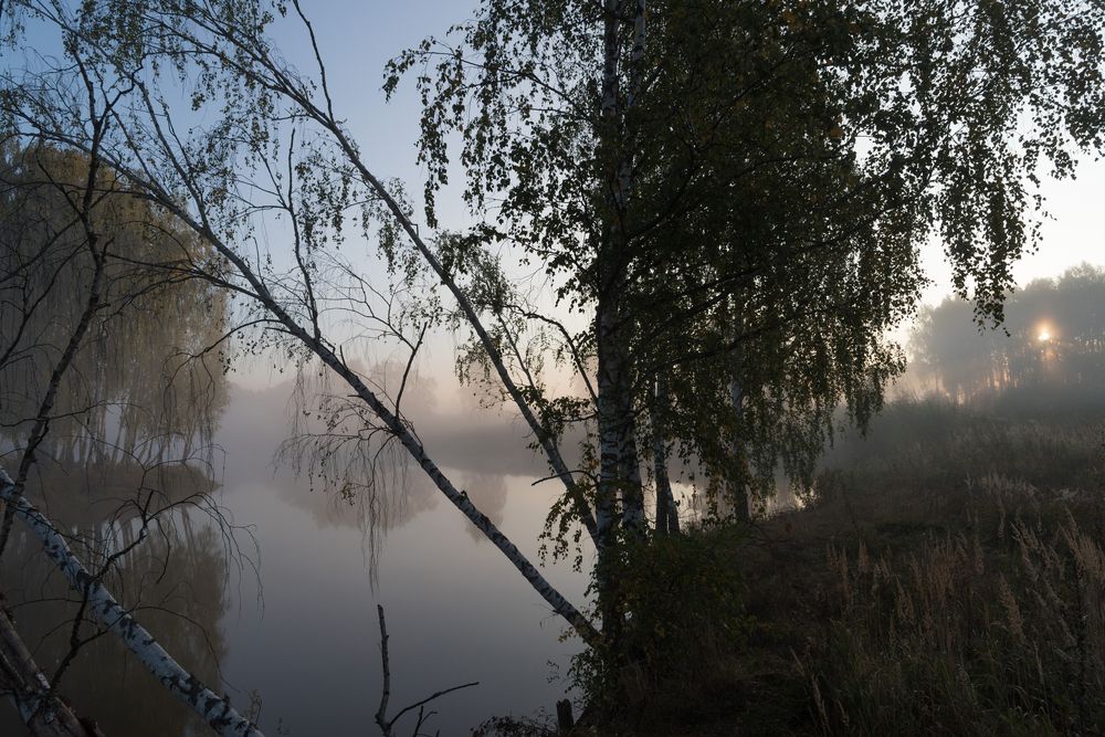 Photograph by Владимир Безбородов